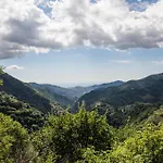Freelandros