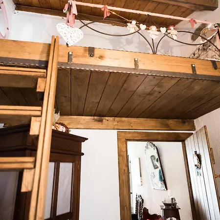 Dom wakacyjny Freelandros *