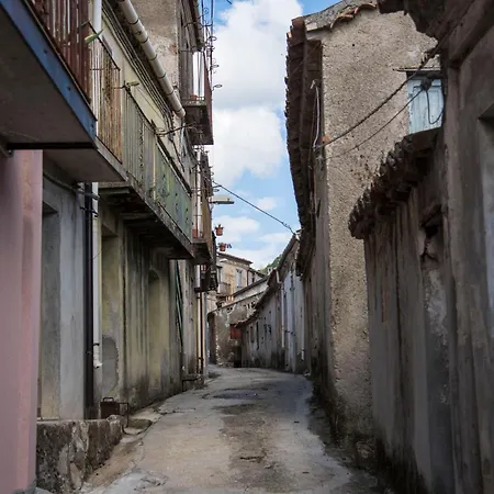 Freelandros Nardodipace Vecchio