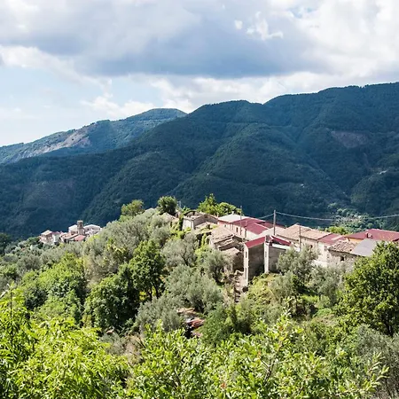 Freelandros Nardodipace Vecchio