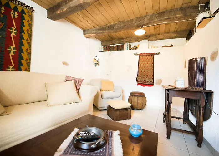 Freelandros 別荘 *