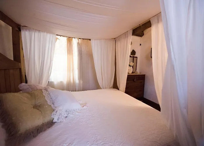 Freelandros Nardodipace Vecchio