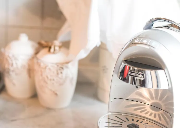 Freelandros Nardodipace Vecchio