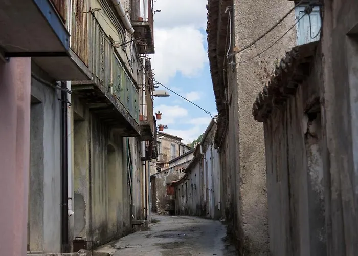 Freelandros Nardodipace Vecchio