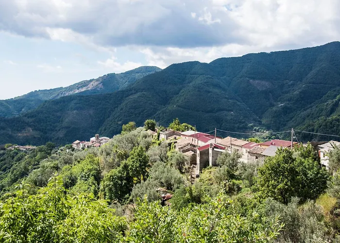 Freelandros Nardodipace Vecchio