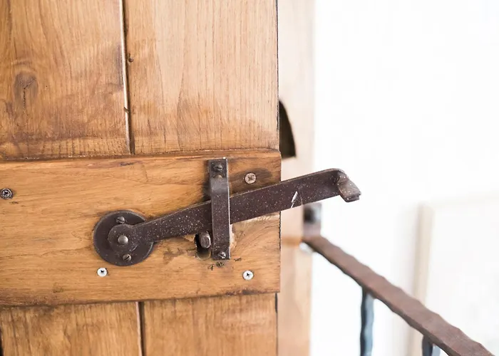 Freelandros Nardodipace Vecchio